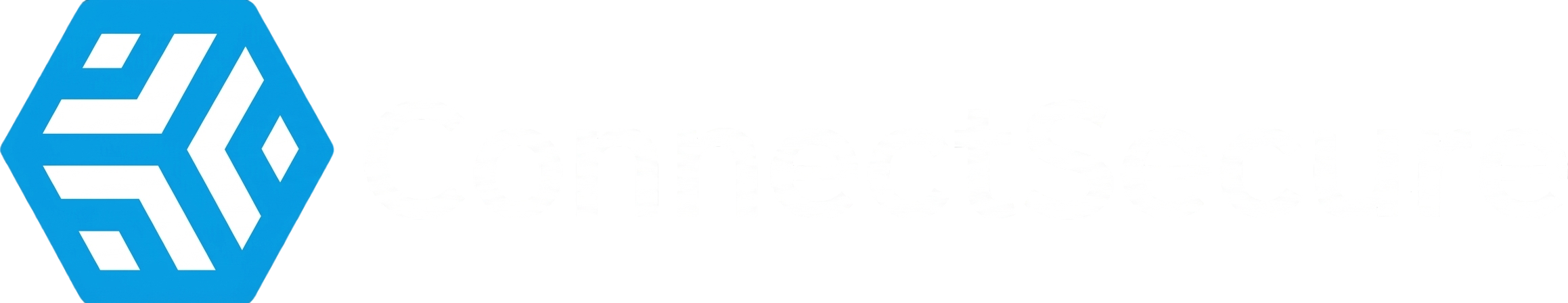 connectnsecure